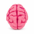 Load image into Gallery viewer, Brain Bath Bomb