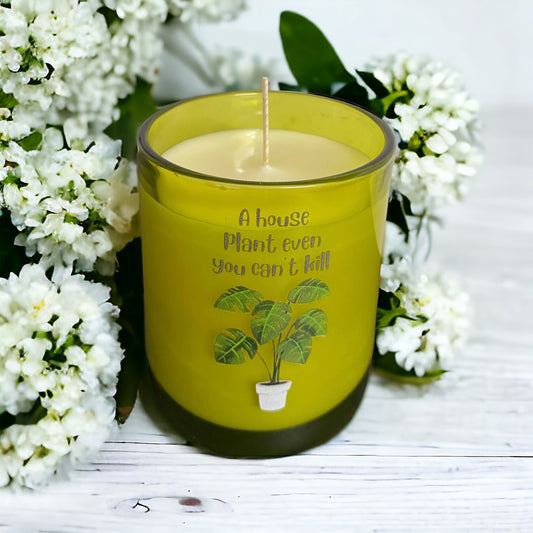 A Plant Even You Can’t Kill Candle 400g