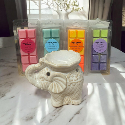 Wax Burner Starter Kit