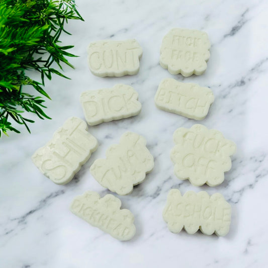 Bag of Swear Words Wax melts