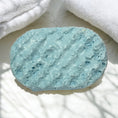 Load image into Gallery viewer, Billion Soap Sponge
