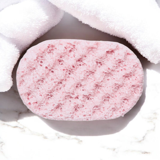 Ice Fairy Soap Sponge