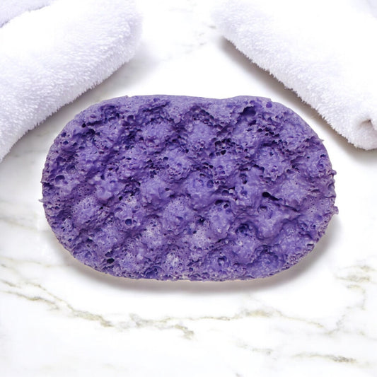 Blueberry Soap Sponge