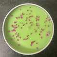 Load image into Gallery viewer, Watermelon Candle
